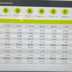 Financial analysis simulation data detective