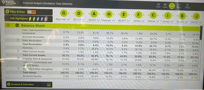 Financial analysis simulation data detective