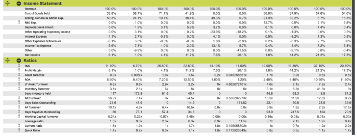 Financial analysis simulation data detective