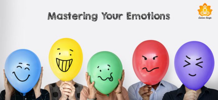 Managing your emotions can help you everfi